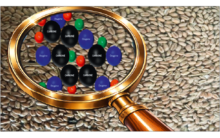 Une loupe agrandit une représentation moléculaire colorée posée sur un fond de grains de café.
Description générée par IA