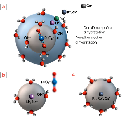 Représentation schématique des sphères d'hydratation autour de l'ion PuO2 avec différentes interactions ioniques indiquées en français.
Description générée par IA