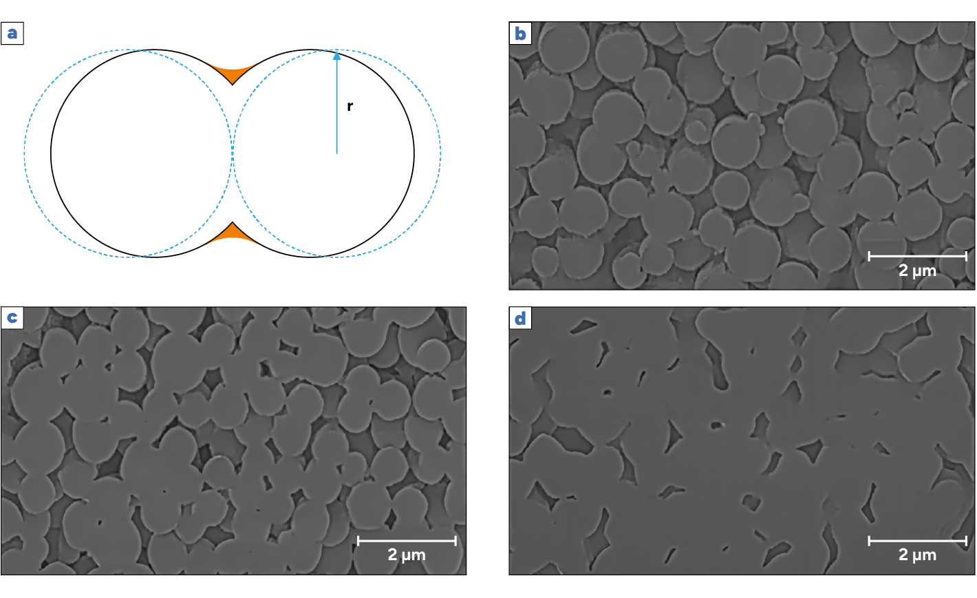 Schéma montrant deux cercles en contact avec des zones de contact en orange et trois images au microscope électronique à balayage montrant des particules de forme irrégulière à différentes densités et arrangements.
Description générée par IA